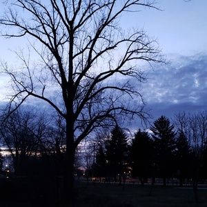 Meet your Posher, Chaosity